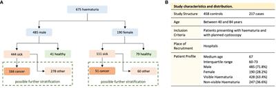 Stratifying risk of disease in haematuria patients using machine learning techniques to improve diagnostics